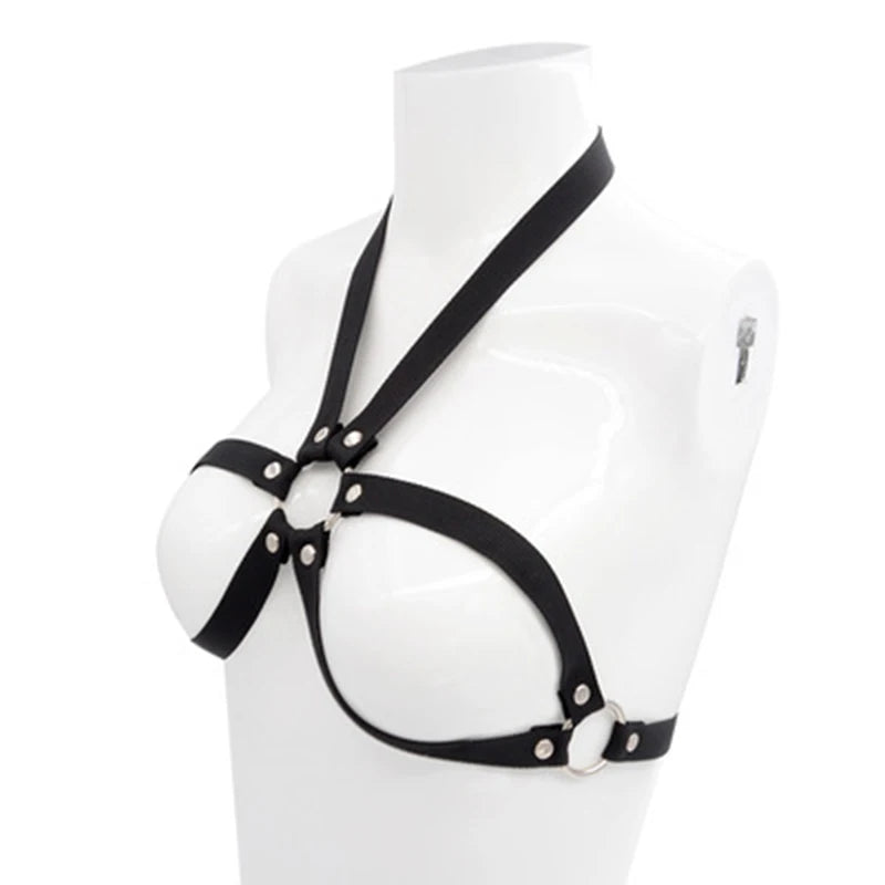 Seductive Temptation Ties & Lingerie Harness Set