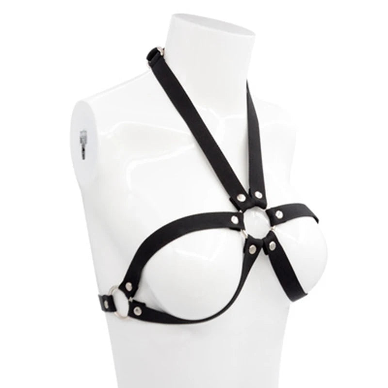 Seductive Temptation Ties & Lingerie Harness Set